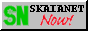 A Netscape Now! style button that says Skaianet Now!